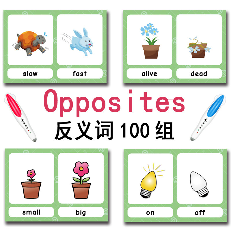The 100 Groups Opposites Flash - Kids Toys Learning 评论和价格