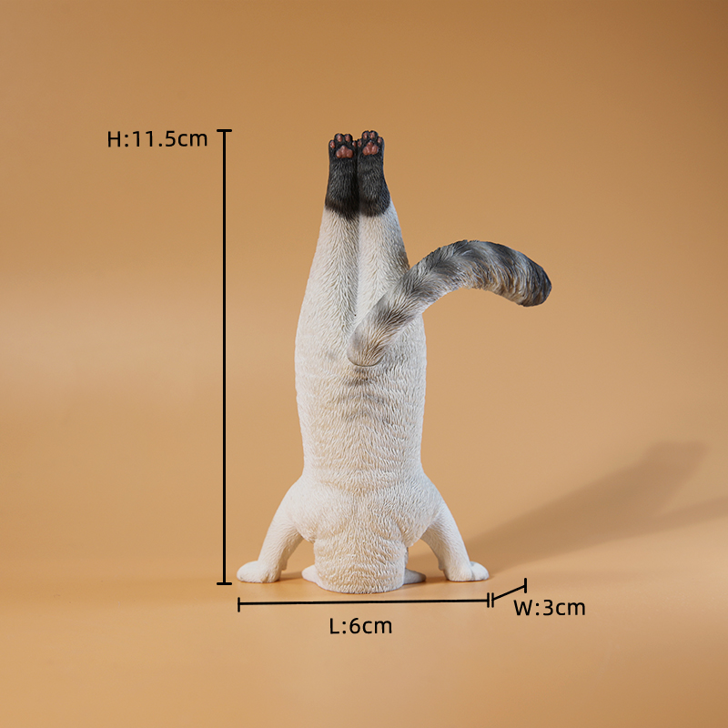 1/6 Scale Mini Simulated Fitne - Kids Yoga Toys 评论和价格