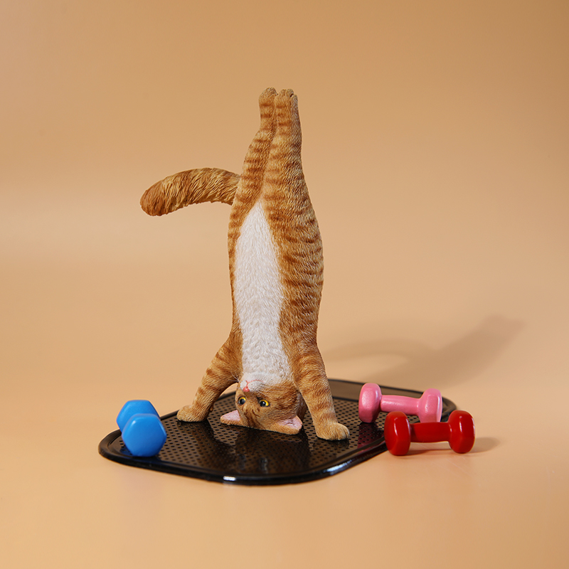 1/6 Scale Mini Simulated Fitne - Kids Yoga Toys 评论和价格