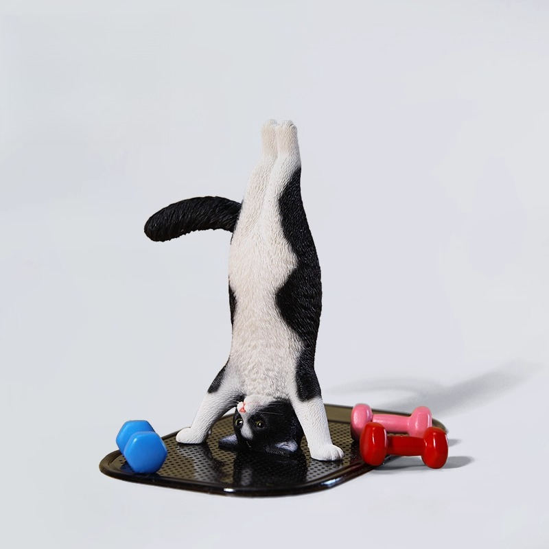 1/6 Scale Mini Simulated Fitne - Kids Yoga Toys 评论和价格